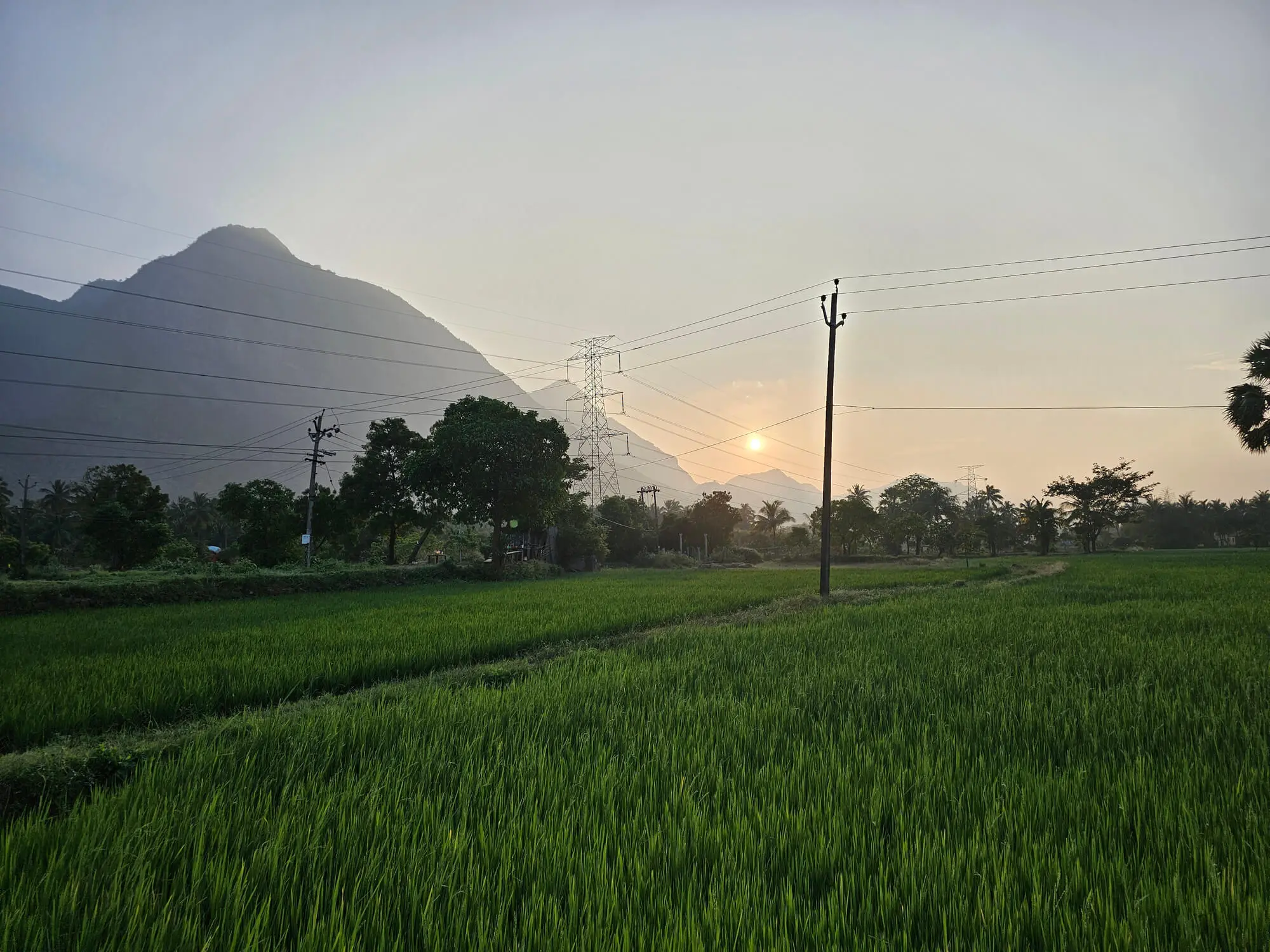 Mars | Decarbonizing Electricity in Global Value Chains