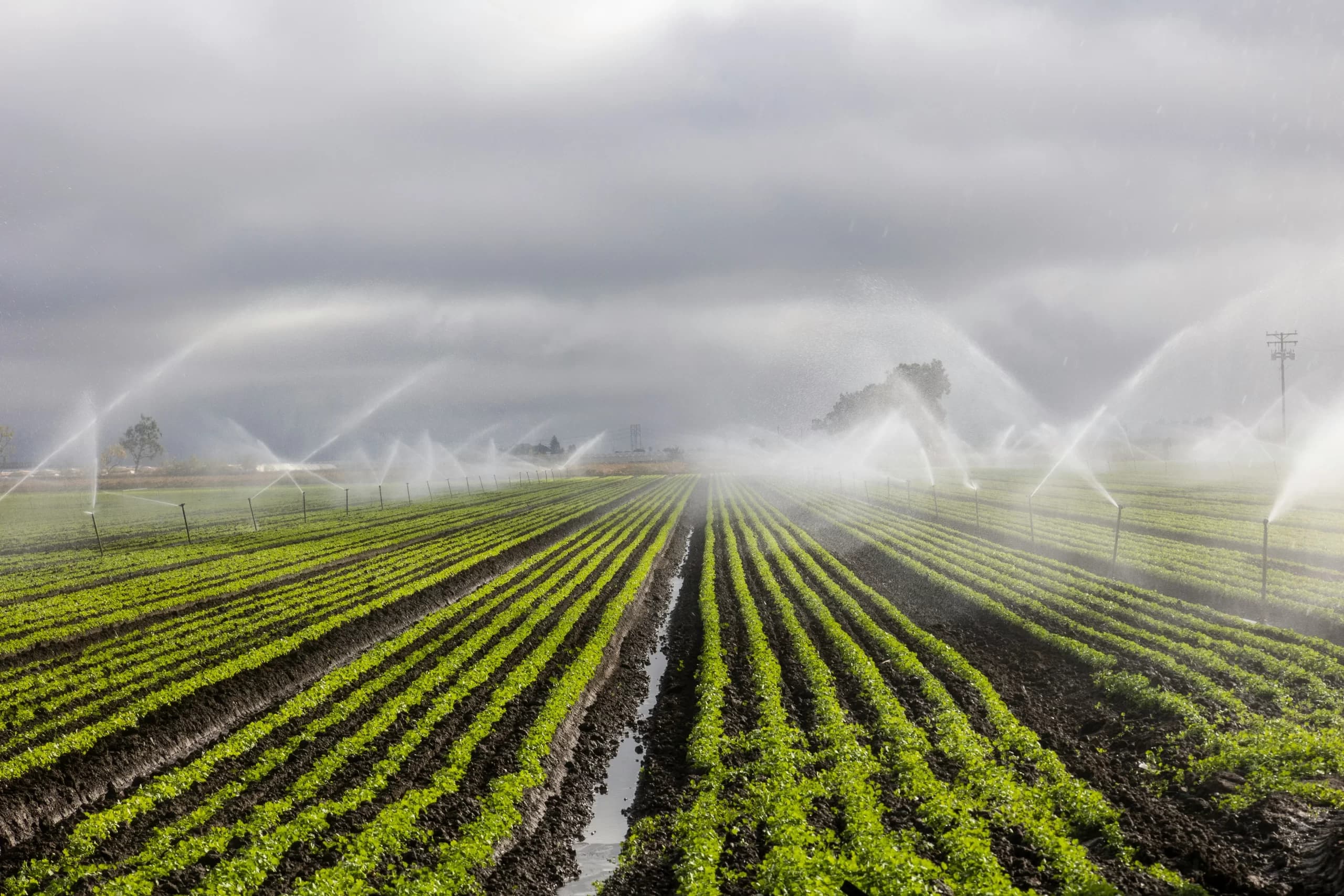 Using Supply Sheds to Decarbonize Agricultural Supply Chains